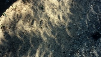 Shadow Crescents