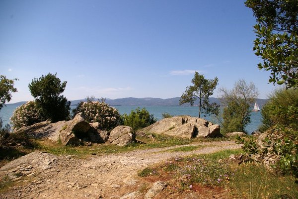 Isola Polvese
